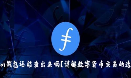 钱打入Tokenim钱包还能查出来吗？详解数字货币交易的透明性与安全性