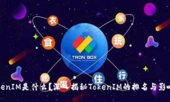 TokenIM是什么？深入揭秘