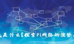 Pi钱包是什么？探索Pi网络