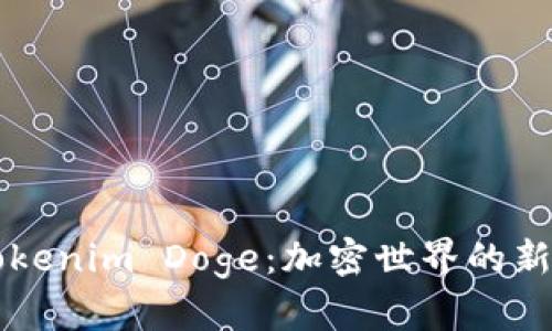 深入解析Tokenim Doge：加密世界的新星及其潜力