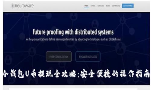 冷钱包U币提现全攻略：安全便捷的操作指南