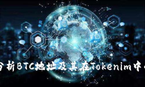 深入分析BTC地址及其在Tokenim中的应用