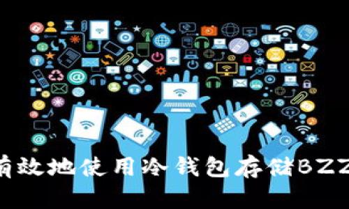 如何安全有效地使用冷钱包存储BZZ：全面指南