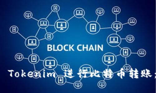 如何使用 Tokenim 进行比特币转账：全面指南