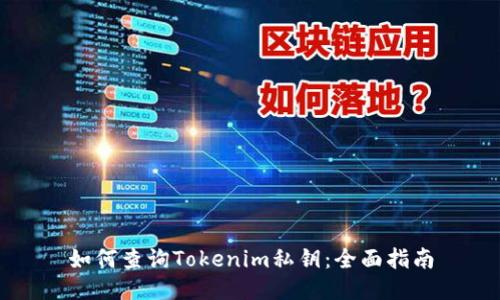 如何查询Tokenim私钥：全面指南