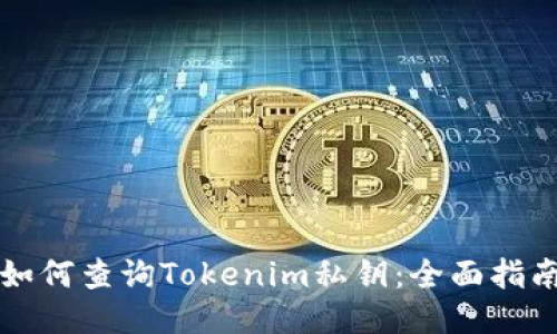 如何查询Tokenim私钥：全面指南