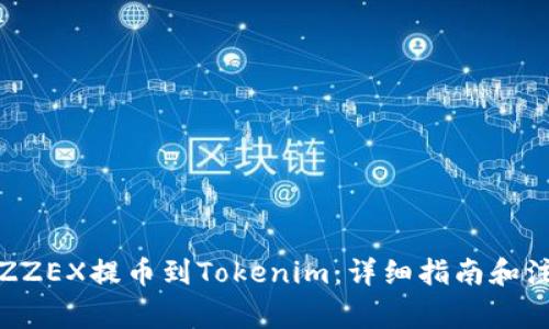 如何将ZZEX提币到Tokenim：详细指南和注意事项