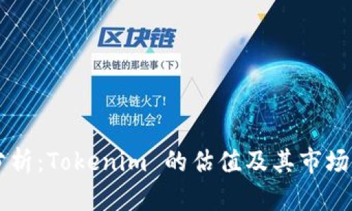 深入分析：Tokenim 的估值及其市场影响力