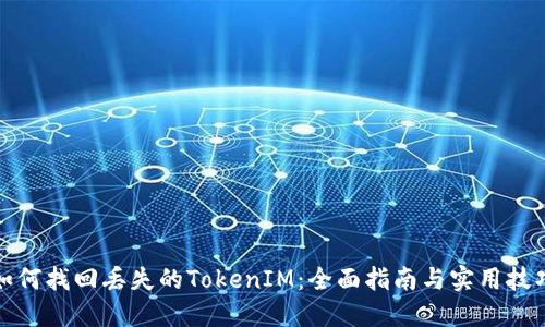 如何找回丢失的TokenIM：全面指南与实用技巧