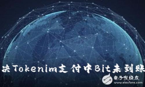 如何解决Tokenim支付中Bit未到账的问题