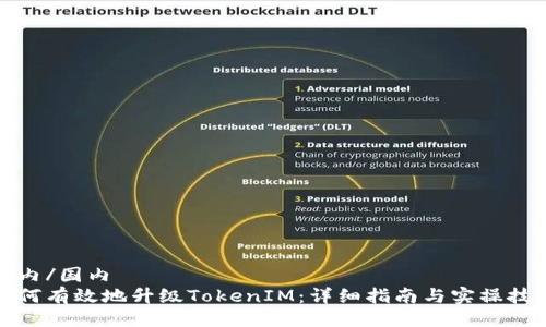 国内/国内
如何有效地升级TokenIM：详细指南与实操技巧