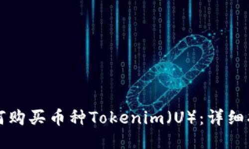 如何购买币种Tokenim（U）：详细指南