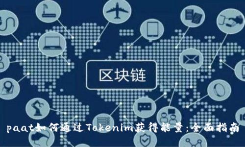 paat如何通过Tokenim获得能量：全面指南