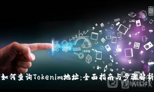 如何查询Tokenim地址：全面指南与步骤解析