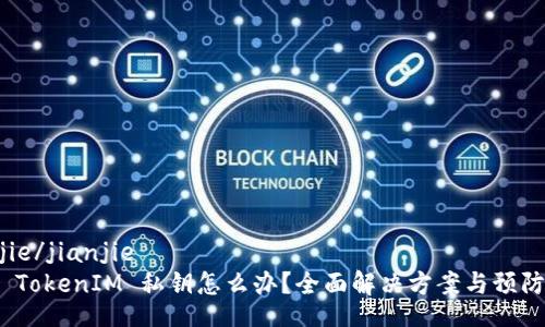 jianjie/jianjie
忘记 TokenIM 私钥怎么办？全面解决方案与预防措施