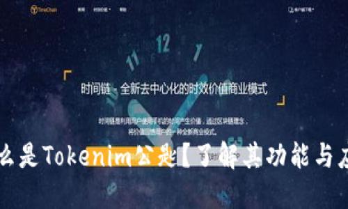 什么是Tokenim公匙？了解其功能与应用