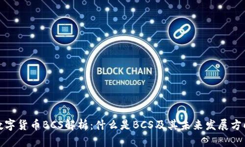 数字货币BCS解析：什么是BCS及其未来发展方向