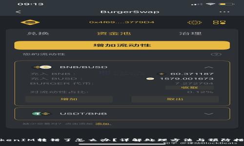 TokenIM转错了怎么办？详解处理方法与预防措施