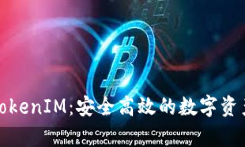 全面解析TokenIM：安全高效的数字资产管理教程