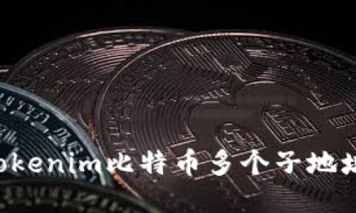 如何管理Tokenim比特币多个子地址：全面指南