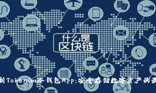 全面解析Tokenim冷钱包App：安全存储数字资产的最佳选择