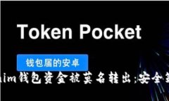 如何防止Tokenim钱包资金被