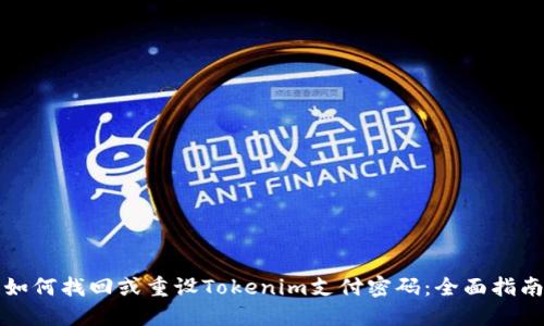 如何找回或重设Tokenim支付密码：全面指南