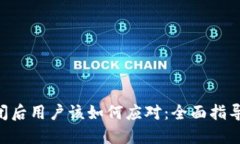 Tokenim倒闭后用户该如何应