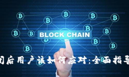 Tokenim倒闭后用户该如何应对：全面指导与应对策略