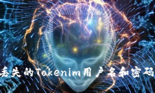 如何找回丢失的Tokenim用户名和密码：详细指南