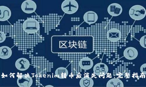 如何解决Tokenim转币后消失问题：完整指南