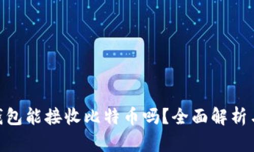 Tokenim钱包能接收比特币吗？全面解析与使用指南