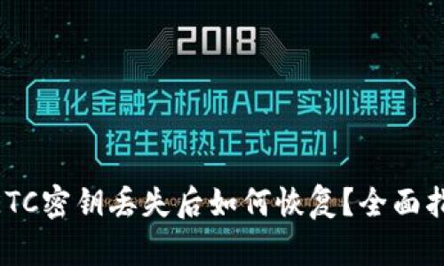 Tokenim钱包ETC密钥丢失后如何恢复？全面指南与解决方案