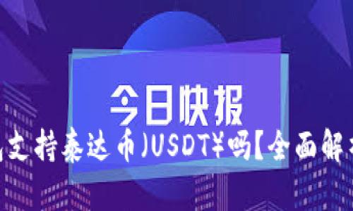 Tokenim钱包支持泰达币（USDT）吗？全面解析与使用指南