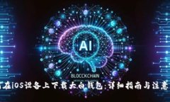 如何在iOS设备上下载大白