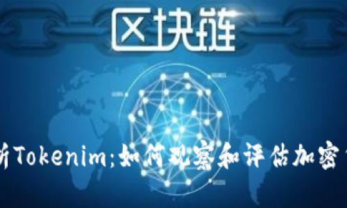 全面解析Tokenim：如何观察和评估加密货币项目