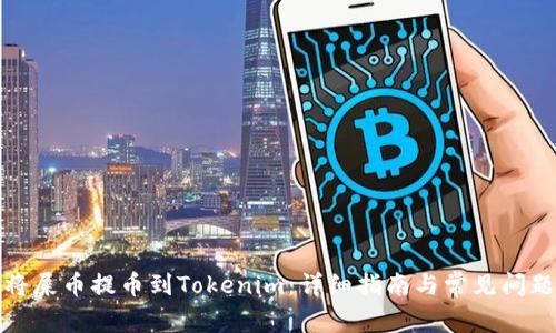 如何将屎币提币到Tokenim：详细指南与常见问题解答