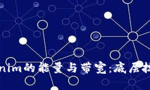 深入探讨Tokenim的能量与带宽：底层技术与应用前景