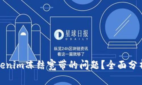 如何解决Tokenim冻结宽带的问题？全面分析与解决方案
