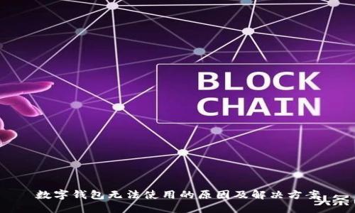 数字钱包无法使用的原因及解决方案