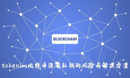 tokenim比特币没有私钥的风险与解决方案