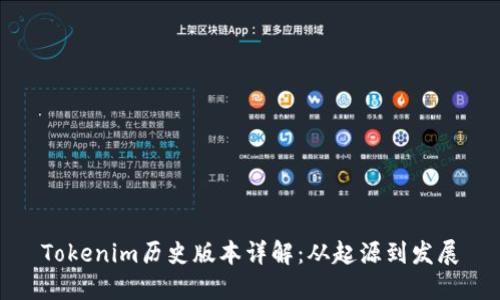 Tokenim历史版本详解：从起源到发展