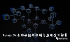 TokenIM自动映射的机制与应