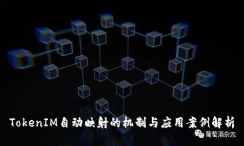 TokenIM自动映射的机制与应用案例解析