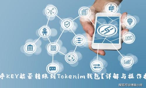 币乎KEY能否转账到Tokenim钱包？详解与操作指南