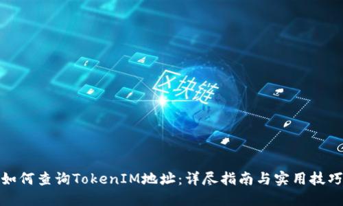 如何查询TokenIM地址：详尽指南与实用技巧