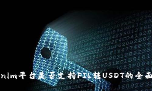 Tokenim平台是否支持FIL转USDT的全面解析