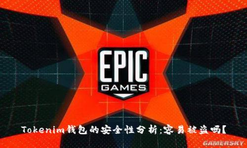 Tokenim钱包的安全性分析：容易被盗吗？