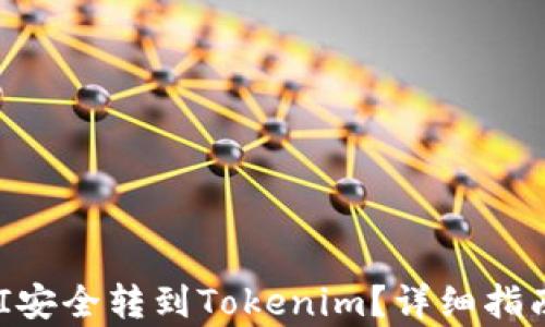 
如何将SHIBI安全转到Tokenim？详细指南与步骤解析