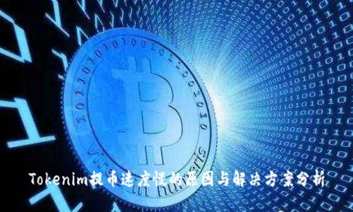 Tokenim提币速度慢的原因与解决方案分析